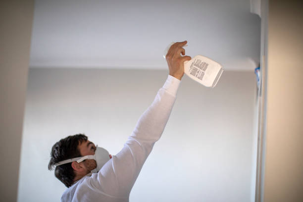 Best DIY Mold Remediation Support Services in Fern Park, FL