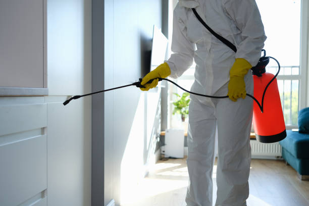 Best Insurance-Related Mold Remediation in Fern Park, FL